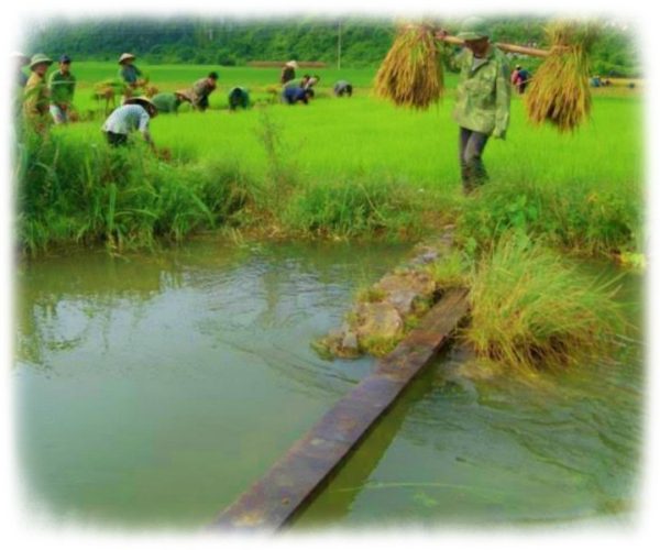 Stage escalade au Vietnam avec Vertige Concept