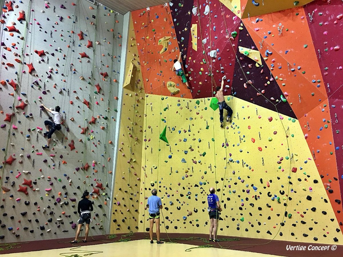 Cours escalade à Reims Vertige Concept